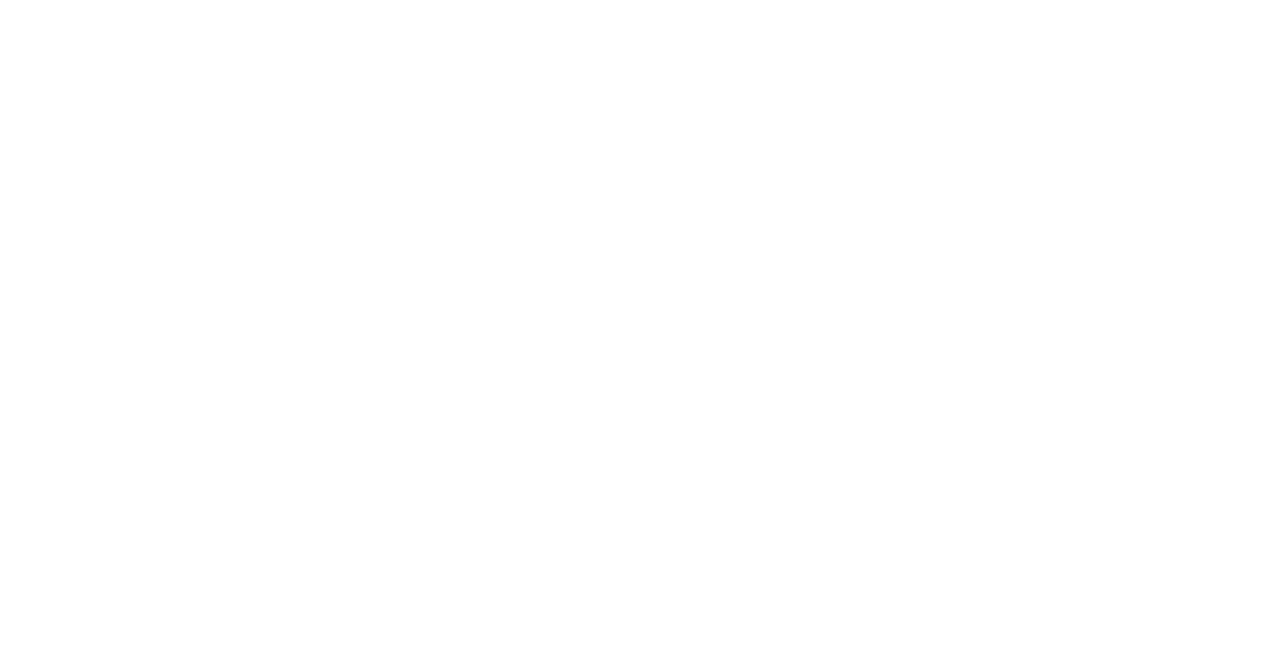 MLK Customs
